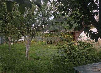 Продаю дом, 16 м2, станица Елизаветинская, Яблоневая улица, 485