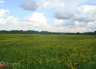 Продается участок, 810 сот., поселок Синицыно, Дачная улица