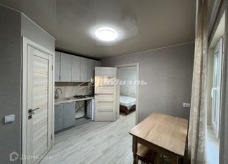 Однокомнатная квартира в аренду, 30 м2, село Дубки, Подгорная улица, 6