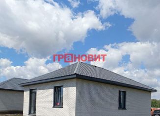 Продаю дом, 50 м2, Новосибирская область, 6-я Благодатная улица, 29