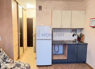Продаю квартиру студию, 17.2 м2, Нижний Новгород, Бурнаковская улица, 87, метро Буревестник