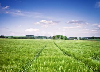 Продам земельный участок, 146.6 сот., сельский посёлок Ленинский, улица Ленина, 9А