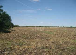 Продаю земельный участок, 16000 сот., деревня Дурасовка