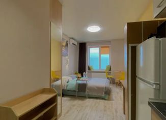 Продается квартира студия, 22.8 м2, Краснодар, улица Цезаря Куникова, 24к3, ЖК Времена Года 3