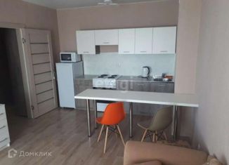 Квартира в аренду студия, 30 м2, Новосибирск, улица Титова, 255/2, метро Речной вокзал