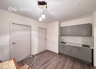 Аренда трехкомнатной квартиры, 50 м2, посёлок Парголово, улица Шишкина, 299