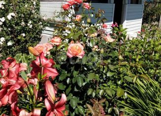 Продается дом, 20 м2, СНТ Алиса