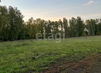 Продам земельный участок, 12 сот., Кемеровская область
