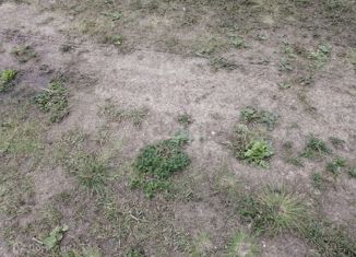 Продается дом, 20 м2, деревня Крутолапова