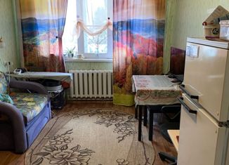 Продам 2-комнатную квартиру, 43.6 м2, деревня Лампово, Совхозная улица, 9
