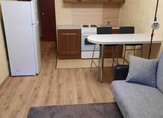 Продам квартиру студию, 20.3 м2, посёлок Берёзовый, улица имени А.Н. Лодыгина, 3