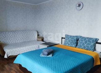 Сдаю 1-ком. квартиру, 41 м2, Воронеж, улица Перевёрткина, 1/1, ЖК Дельфин