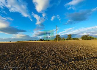Продается земельный участок, 60 сот., село Шубино