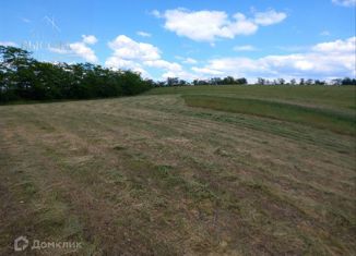 Земельный участок на продажу, 12129 сот., село Перово, Парковая улица