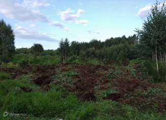 Продается земельный участок, 8 сот., садовое товарищество Меркурий, 20-я улица