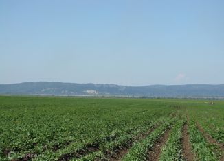 Продается земельный участок, 4745.1 сот., село Безруково