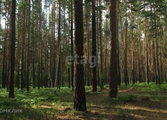 Продам земельный участок, 14.3 сот., село Еткуль