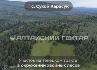 Продам участок, 24.51 сот., село Акташ, Лесная улица, 2