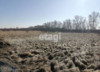 Продам земельный участок, 6 сот., СНТ Светлогорское