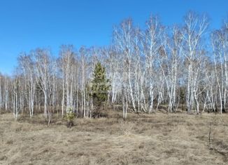 Продается земельный участок, 5 сот., село Чернолучье, Береговая улица, 29