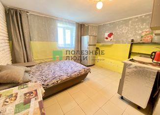 Продается квартира студия, 19.7 м2, Благовещенск, Красноармейская улица, 74