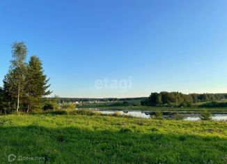 Продажа участка, 12 сот., деревня Ефимовка, деревня Ефимовка, 48