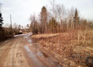 Продаю земельный участок, 15 сот., село Сямжа, Сиреневая улица