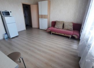 Сдам в аренду квартиру студию, 25 м2, Челябинская область, улица Университетская Набережная, 63