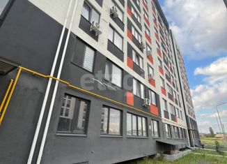 Продажа 1-комнатной квартиры, 48.3 м2, село Мирное, Живописная улица, 10