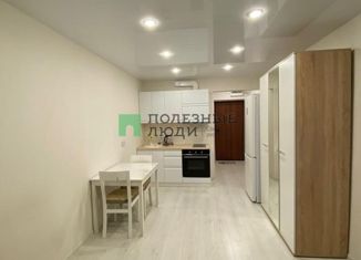 Продам квартиру студию, 25 м2, деревня Хохряки, Муромская улица, 1