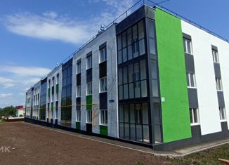 Продаю 1-комнатную квартиру, 45 м2, село Иглино, улица 450-летия, 1