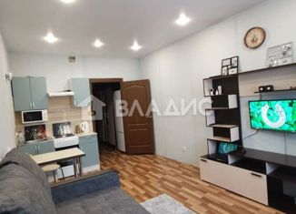 Продается квартира студия, 24 м2, Мурино, Охтинская аллея, 16