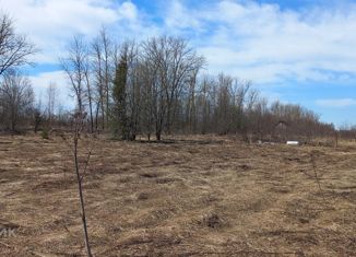 Продается земельный участок, 15 сот., село Никольское, Центральная улица, 4