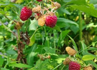 Дом на продажу, 62.2 м2, село Малобыково, Лиманская улица