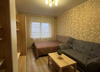 Сдается 1-ком. квартира, 37 м2, Санкт-Петербург, Среднерогатская улица, 9, муниципальный округ Звёздное