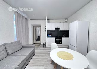 Аренда 1-комнатной квартиры, 40 м2, Санкт-Петербург, Спасский переулок, 6-8Н, метро Спасская