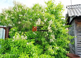 Продается дом, 20 м2, СНТ Рассвет, улица Рассвет