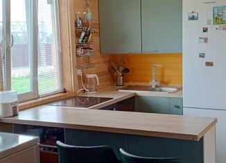 Продам дом, 40.9 м2, Янтарная Ропша, проезд Янтарный Луч, 68