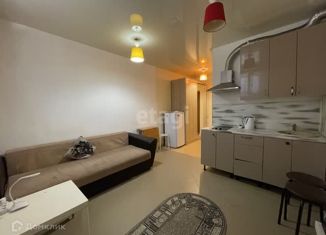 Продам квартиру студию, 20.5 м2, Краснодар, Гаражный переулок, 12/3к3, Гаражный переулок