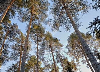 Земельный участок на продажу, 22 сот., дачный посёлок Лесной Городок, коттеджный посёлок Резиденция Лесной Городок, 61