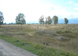 Продаю участок, 1548.7 сот., село Чендек, Зелёная улица