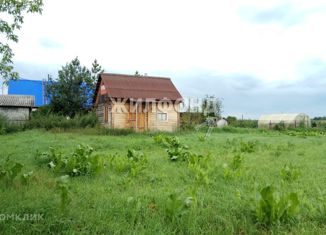 Участок на продажу, 28.83 сот., село Верх-Ирмень, улица Максима Горького