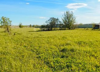 Продается участок, 33 сот., деревня Эхветкасы, Большая улица, 1