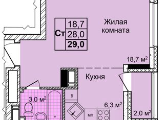 Квартира на продажу студия, 28.6 м2, Нижний Новгород, ЖК Дома на Культуре, улица Коперника, 2