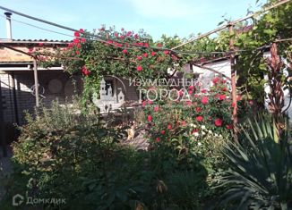 Продаю дом, 60 м2, посёлок Сенной, улица Чкалова