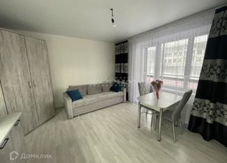 Квартира на продажу студия, 26.2 м2, посёлок Западный, Олимпийская улица, 3