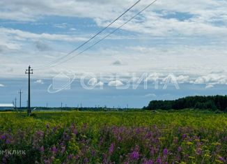 Продается земельный участок, 200 сот., село Горьковка, Сибирская улица