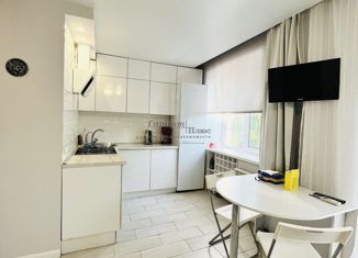 Продам 1-ком. квартиру, 30.3 м2, Нижний Новгород, улица Добролюбова, 7, улица Добролюбова