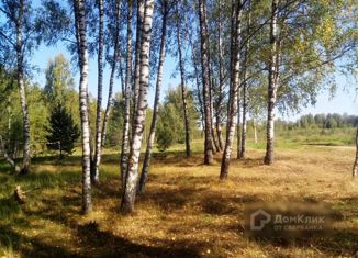 Продаю участок, 11 сот., деревня Илейкино, Колхозная улица, 18