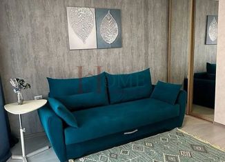 Сдается квартира студия, 29.6 м2, Новосибирск, улица Семьи Шамшиных, 90/5, ЖК Премьер